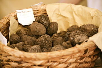 Discover Luxury Food: Truffles 12 SantAgata Feltria Truffles Discover Luxury Food: Truffles - EAT LOVE SAVOR International Luxury Lifestyle Magazine