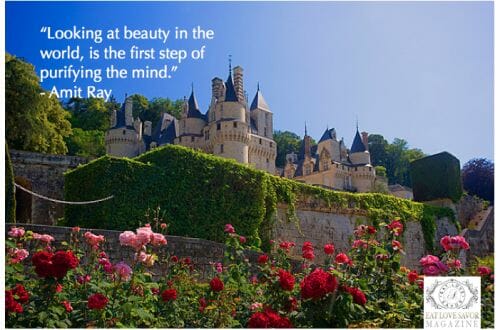 Quote: Looking At Beauty in the World 2 looking at beauty quote Quote: Looking At Beauty in the World - EAT LOVE SAVOR International Luxury Lifestyle Magazine