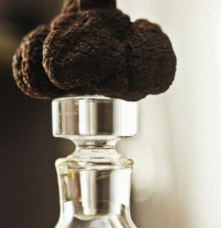 How and When to Use Black vs White Truffle Oil 13 black truffle and oil How and When to Use Black vs White Truffle Oil - EAT LOVE SAVOR International Luxury Lifestyle Magazine