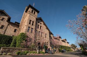 Inaugural Online Auction of Limited Production Premiere Napa Valley Wines Inaugural Online Auction of Limited Production Premiere Napa Valley Wines