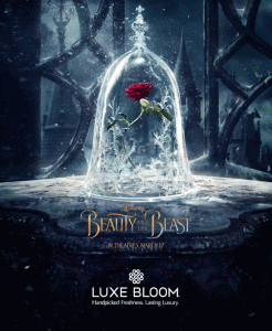 Beautifully Preserved Roses from Luxe Bloom® Official Rose in "Beauty and the Beast" Film Beautifully Preserved Roses from Luxe Bloom® Official Rose in "Beauty and the Beast" Film