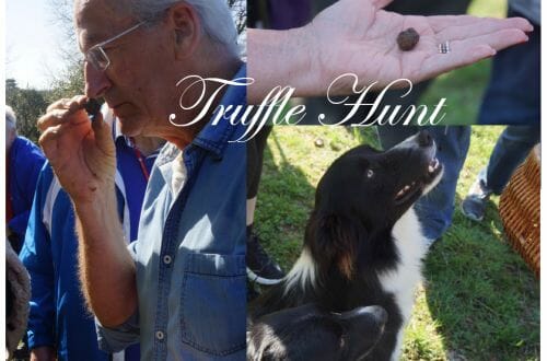 Truffle Hunting On The Périgord: The Quest For The Black Diamonds Of Cuisine 14 truffle hunt kime Truffle Hunting On The Périgord: The Quest For The Black Diamonds Of Cuisine - EAT LOVE SAVOR International Luxury Lifestyle Magazine