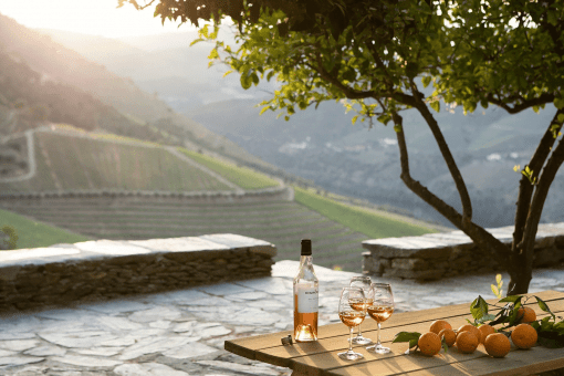 Retreat to the majestic Douro Valley and historic Porto for a unique wine adventure 8 Laranjeiras Gricha Retreat to the majestic Douro Valley and historic Porto for a unique wine adventure - EAT LOVE SAVOR International Luxury Lifestyle Magazine