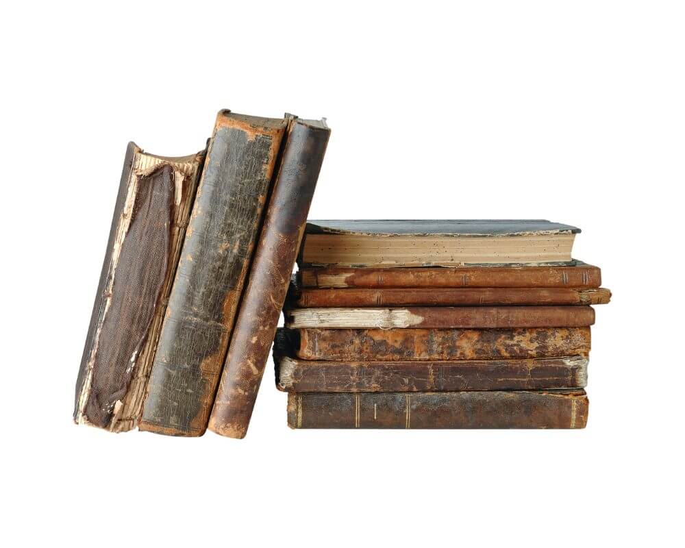 books article photo 2022